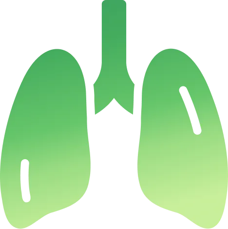 Фоновое изображение зеленых легких