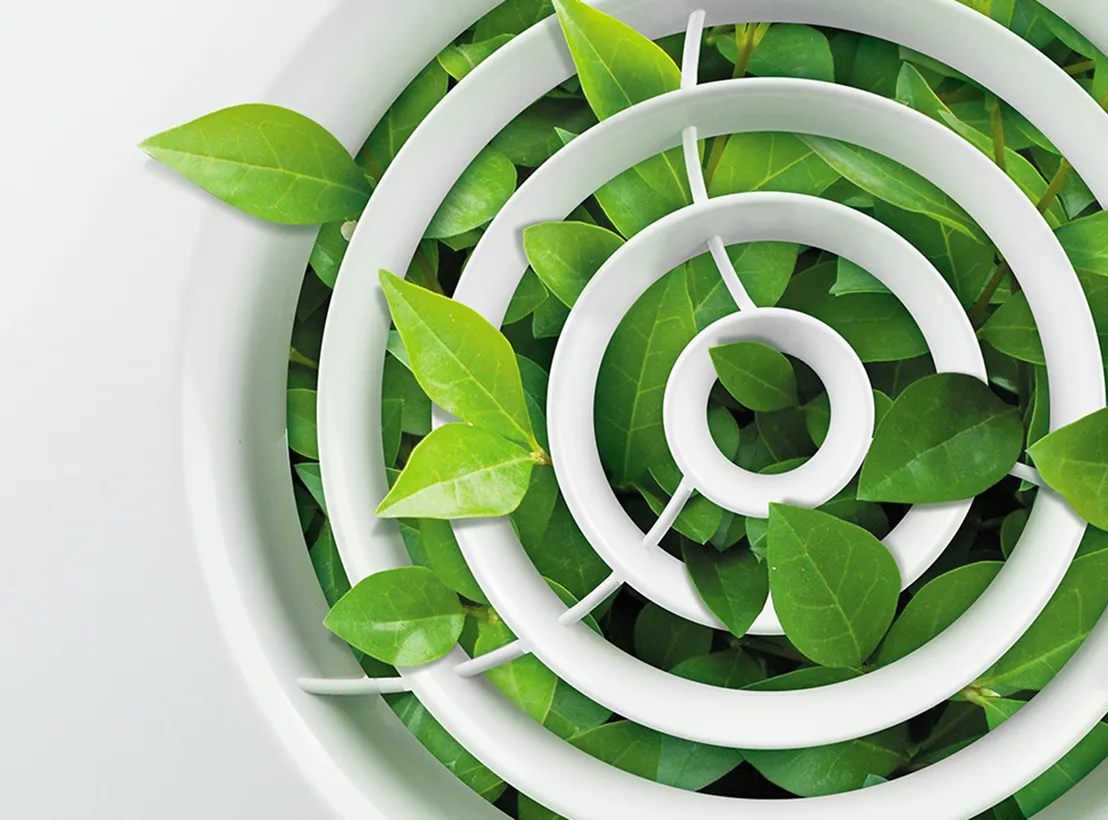 Фоновая картинка главной секции